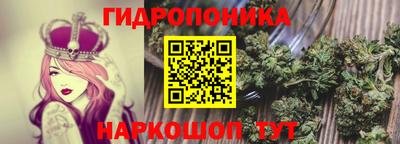 шишки Ярославль