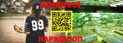 шишки Ярославль