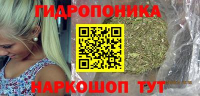 шишки Ярославль