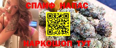 шишки Ярославль