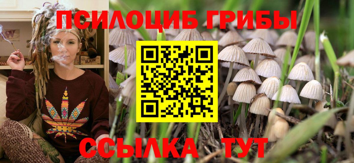 купить   Галлюциногенные грибы GOLDEN TEACHER  Вход с VPN  Галлюциногенные грибы Psilocybe  Сибай 