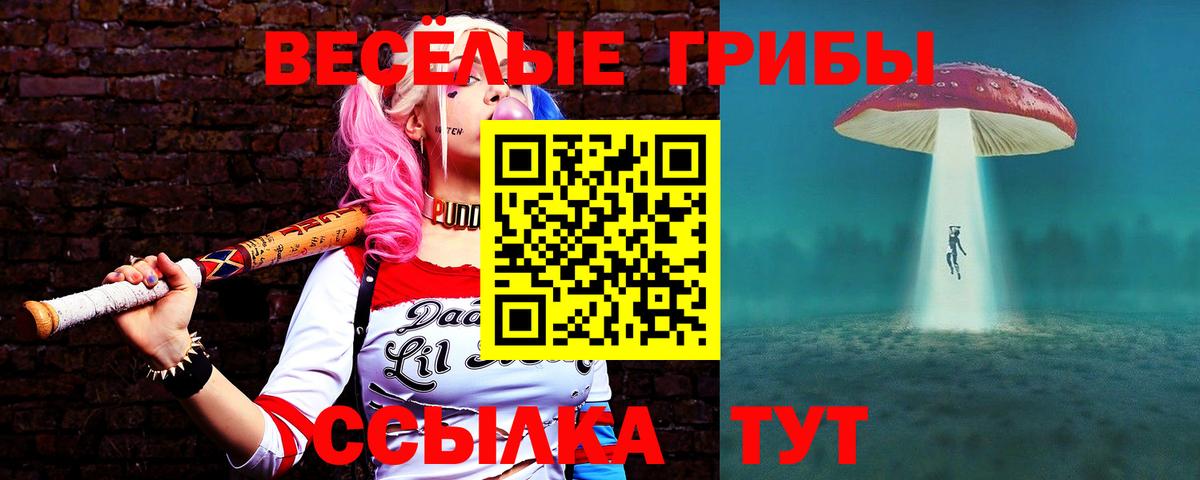 Псилоцибиновые грибы прущие грибы Сибай